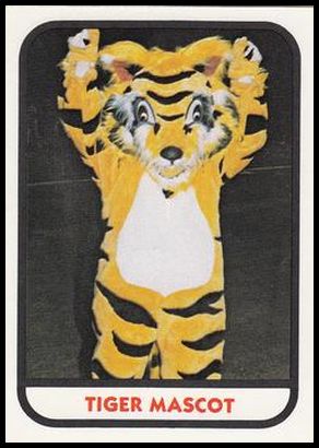 28 Tiger Mascot